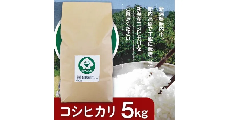 【ふるさと納税】米 5kg 特別栽培米 新潟 コシヒカリ 新潟こしひかり 白米 新潟県胎内産コシヒカリ5kg（森の田んぼ）