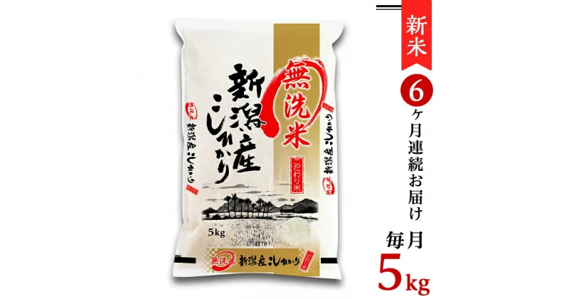 【ふるさと納税】令和6年 新米 米 定期便 無洗米 5kg 6ヶ月 新潟こしひかり 白米 M056【無洗米】新潟県産コシヒカリ5kg【6ヶ月連続お届け】