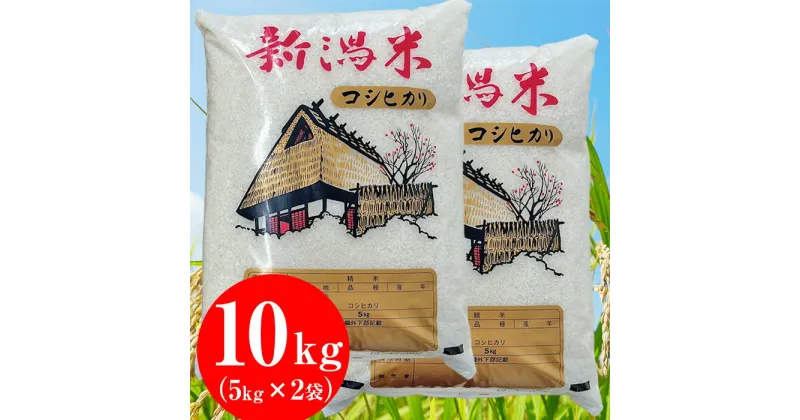 【ふるさと納税】米 10kg 5kg×2袋 新潟こしひかり 新潟 コシヒカリ 白米 新潟県産コシヒカリ10kg（5kg×2袋）【片野周一】