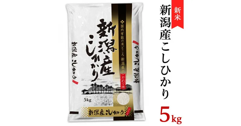 【ふるさと納税】令和6年 新米 米 5kg 新潟こしひかり 白米 K51新潟県産コシヒカリ5kg