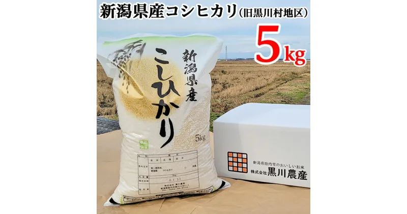 【ふるさと納税】米 5kg 新潟 コシヒカリ 新潟こしひかり 白米 新潟県産コシヒカリ精米5kg（旧黒川村地区）黒川農産