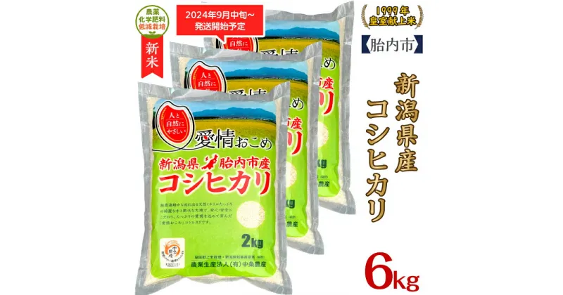 【ふるさと納税】令和6年 新米 米 6kg 2kg×3袋 新潟こしひかり 白米 16-K61新潟県胎内市産ちょっと贅沢なコシヒカリ6kg（2kg×3袋）