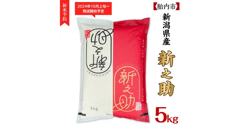 【ふるさと納税】令和6年 新米予約 新之助 5kg 米 新潟 白米 16-S51新潟県胎内市産ちょっと贅沢な新之助5kg