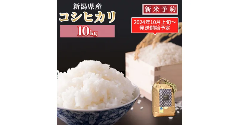 【ふるさと納税】コシヒカリ精米10kg【金助農業株式会社】