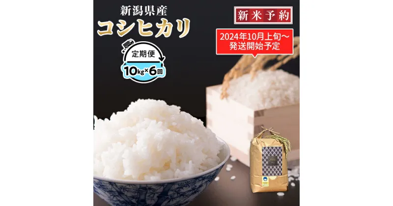 【ふるさと納税】定期便6ヶ月コシヒカリ精米10kg【金助農業株式会社】