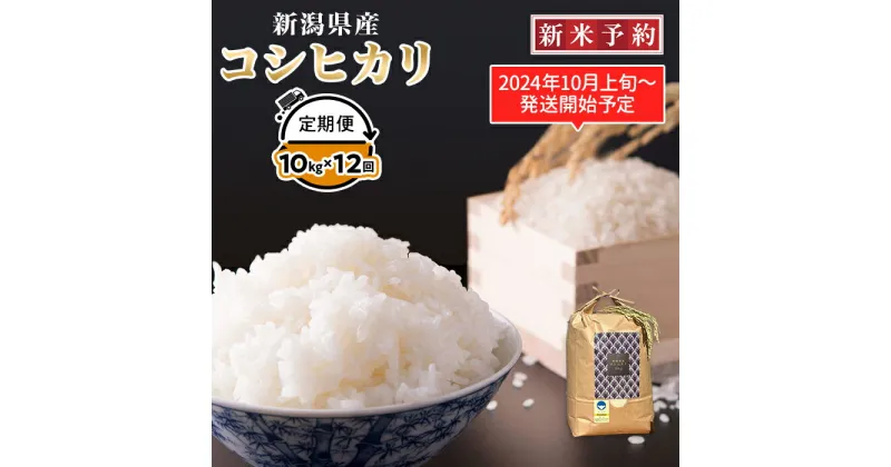 【ふるさと納税】定期便12ヶ月コシヒカリ精米10kg【金助農業株式会社】