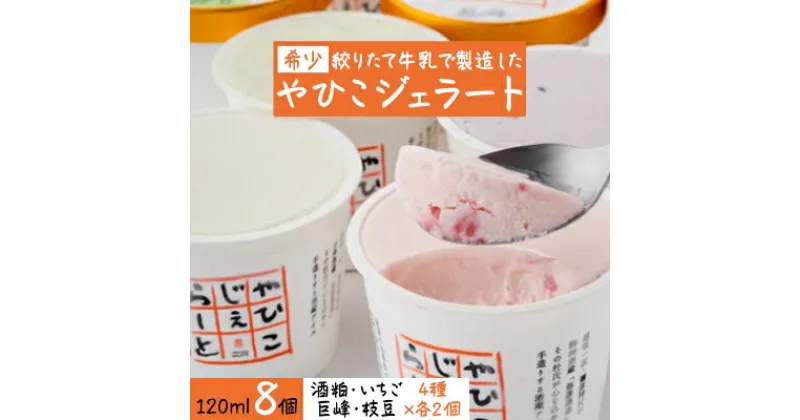 【ふるさと納税】【希少】絞りたて牛乳で製造した『やひこジェラート』【配送不可地域：離島】【1000697】