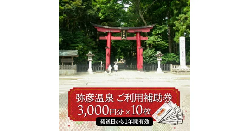 【ふるさと納税】弥彦温泉ご利用補助券　3,000円分【10枚】【1296027】