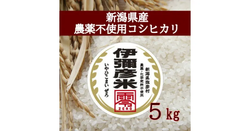 【ふるさと納税】【新米受付】令和6年産 栽培期間中農薬不使用コシヒカリ「伊彌彦米零(ぜろ)」5kg【1351275】