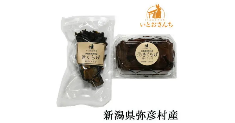 【ふるさと納税】新潟県弥彦村産　越のうさぎ 　生きくらげ250g、乾燥きくらげ25g　詰め合わせセット【配送不可地域：離島】【1354239】