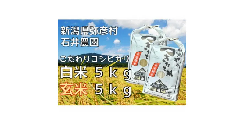 【ふるさと納税】【新米】新県弥彦村石井農園　令和6年産コシヒカリ白米・玄米 食べ比べセット【白米5kg、玄米5kg】【1508848】