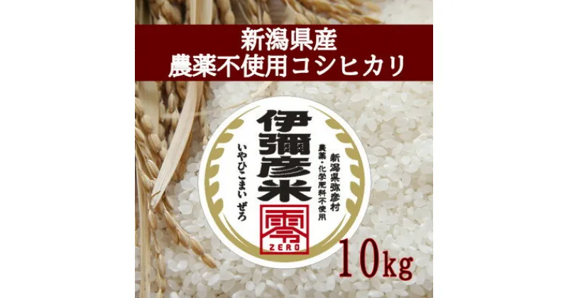 【ふるさと納税】【新米受付】令和6年産　新潟県産　栽培期間中農薬不使用　コシヒカリ　「伊彌彦米　零(ぜろ)」10kg【1517172】