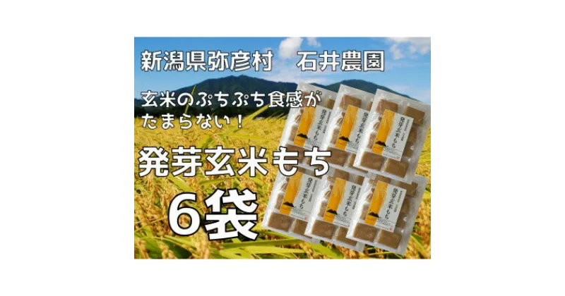 【ふるさと納税】ぷちぷち食感がたまらない「発芽玄米餅」　6袋　新潟県弥彦村産「こがねもち」100%使用【1554475】