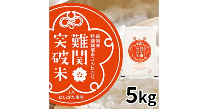 【ふるさと納税】令和6年産 難関突破米 5kg　お米・コシヒカリ　お届け：2024年11月20日～2025年1月31日まで