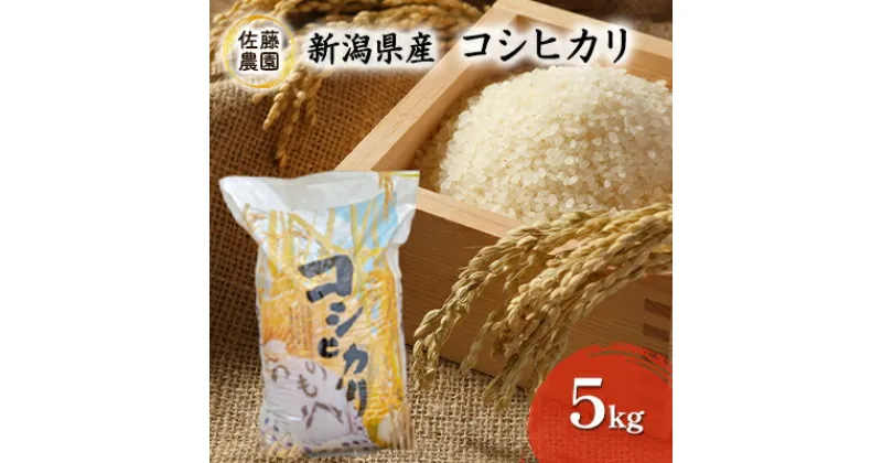 【ふるさと納税】【新米先行予約受付開始】新潟県産　コシヒカリ【佐藤農園】5kg　お米・コシヒカリ　お届け：2024年9月末より順次発送