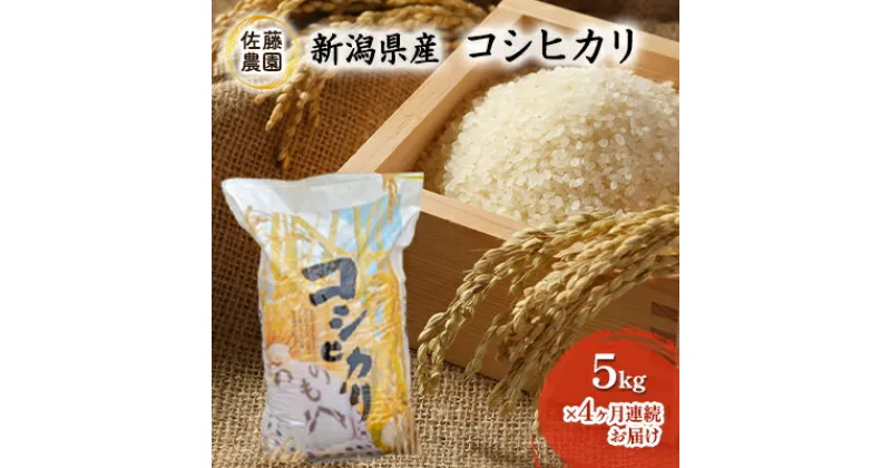 【ふるさと納税】【新米先行予約受付開始】新潟県産　コシヒカリ【佐藤農園】5kg×4ヶ月連続お届け　定期便・お米・コシヒカリ　お届け：2024年9月末より順次発送