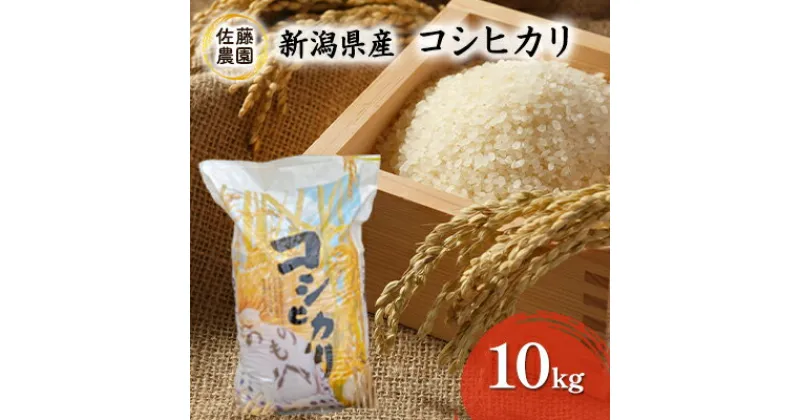 【ふるさと納税】新潟県産　コシヒカリ【佐藤農園】10kg　お米・コシヒカリ　お届け：2024年9月末より順次発送