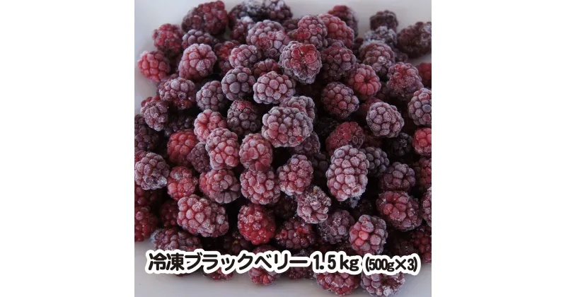 【ふるさと納税】 フルーツ ブラックベリー 冷凍 無農薬栽培 1.5kg 500g × 3袋 新潟 阿賀 ブラックフーズ 送料無料