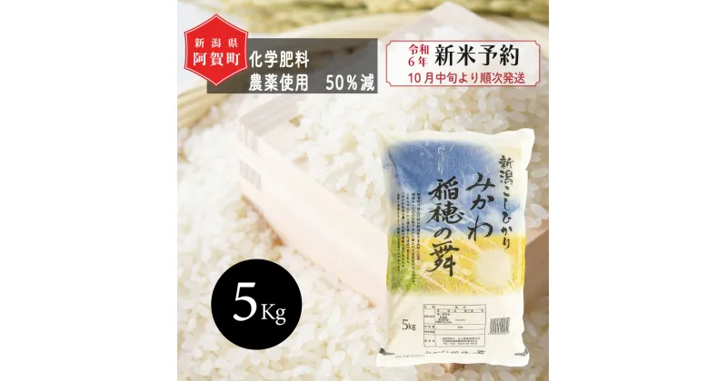 【ふるさと納税】 《新米予約》 米 5kg 新潟県産 コシヒカリ 「みかわ稲穂の舞」 令和6年産 5kg × 1袋 阿賀 三川 | こしひかり 白米 精米 送料無料 お取り寄せ お米 金賞受賞 ※2024年10月中旬頃より順次発送