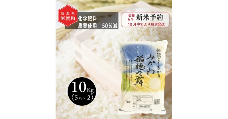 【ふるさと納税】 《新米予約》 米 10kg 新潟県産 コシヒカリ 「みかわ稲穂の舞」 令和6年産 5kg × 2袋 阿賀 三川 | こしひかり 白米 精米 送料無料 お取り寄せ お米 金賞受賞 ※2024年10月中旬頃より順次発送