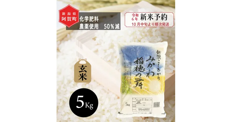 【ふるさと納税】 《新米予約》 玄米 5kg 新潟県産 コシヒカリ 「みかわ稲穂の舞」 令和6年産 5kg × 1袋 阿賀 三川 | こしひかり 白米 精米 送料無料 お取り寄せ お米 ※2024年10月中旬頃より順次発送