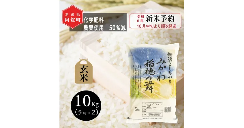 【ふるさと納税】 《新米予約》 玄米 10kg 新潟県産 コシヒカリ 「みかわ稲穂の舞」 令和6年産 5kg × 2袋 阿賀 三川 | こしひかり 白米 精米 送料無料 お取り寄せ お米 ※2024年10月中旬頃より順次発送