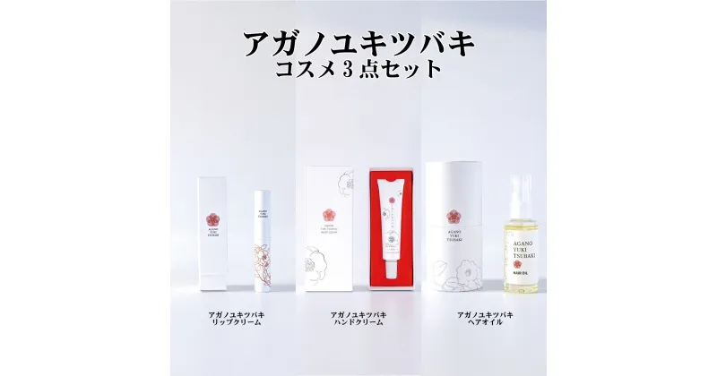 【ふるさと納税】 コスメセット ハンドクリーム リップクリーム ヘアオイル 雪椿油 国産 新潟 阿賀 3点 セット 雪椿 ユキツバキオイル 化粧品 非加熱圧搾法 送料無料