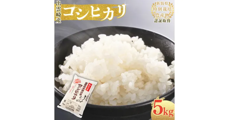 【ふるさと納税】【新米】新潟県産 コシヒカリ 5kg 出雲崎町産 「天領の里」特別栽培米 令和6年産 白米 精米 お米