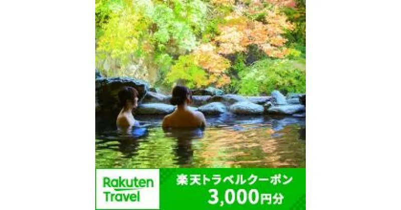 【ふるさと納税】新潟県湯沢町の対象施設で使える楽天トラベルクーポン 寄附金額10,000円【楽天】新潟県 越後湯沢 旅行券 宿泊券 宿泊補助券 旅行 トラベル クーポン チケット 金券 ホテル 旅館 リゾート 国内旅行 宿泊 観光 スキー スノーボード 苗場 全国旅行支援