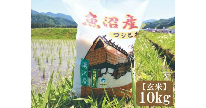 【ふるさと納税】 令和6年産 新潟県特別栽培米認定！ 味とツヤにこだわった「秀田米」 玄米10kg 【湯沢産コシヒカリ】