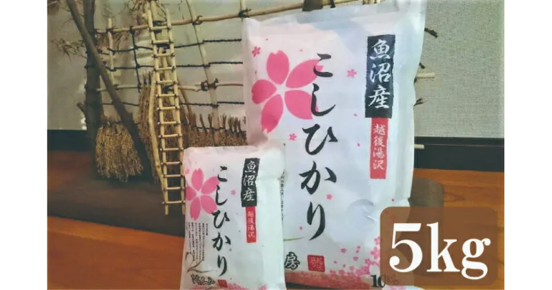 【ふるさと納税】令和6年産 農家直送！越後湯沢発 精米5kg【湯沢産コシヒカリ】南魚沼産 こしひかり