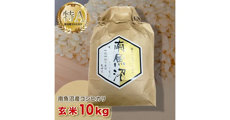 【ふるさと納税】令和6年産 「越後湯沢産」玄米 10kg【湯沢産コシヒカリ】南魚沼産 こしひかり【特A】