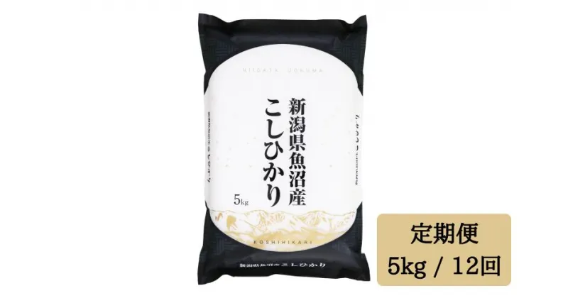 【ふるさと納税】令和6年産【精米5kg/12ヶ月定期便】「雪蔵仕込み」 【湯沢産コシヒカリ】南魚沼産 こしひかり 5回定期便