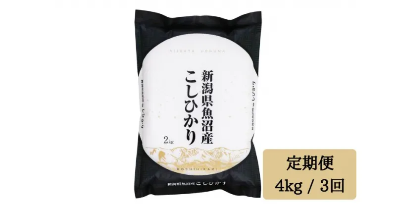 【ふるさと納税】令和6年産【精米4kg/3ヶ月定期便】「雪蔵仕込み」 【湯沢産コシヒカリ】南魚沼産 こしひかり 3回定期便