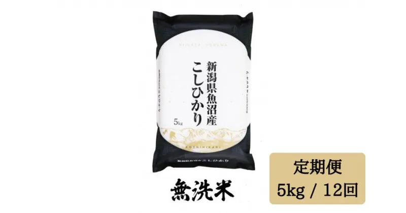 【ふるさと納税】 令和6年産 【無洗米5kg/12ヶ月定期便】「雪蔵仕込み」 【湯沢産コシヒカリ】南魚沼産 こしひかり