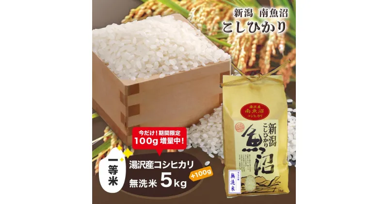 【ふるさと納税】 令和6年産 湯沢産コシヒカリ＜無洗米＞5kg 【期間限定 100g増量中！】