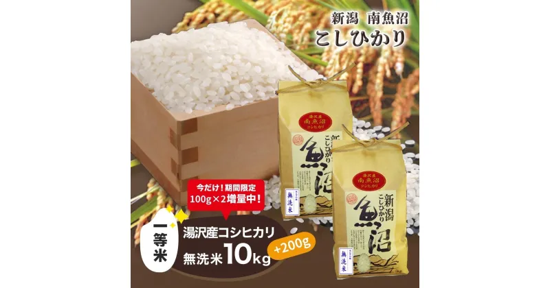 【ふるさと納税】 令和6年産 湯沢産コシヒカリ＜無洗米＞10kg(5kg×2袋) 南魚沼産 こしひかり 【期間限定 200g増量中！】