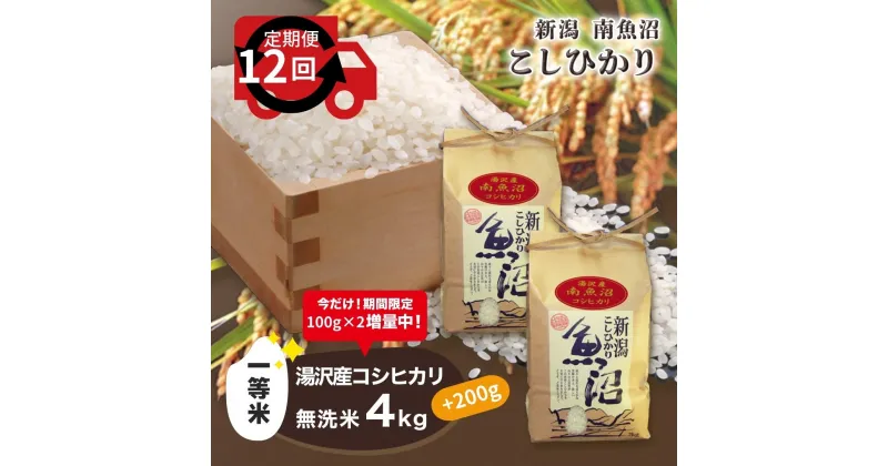 【ふるさと納税】令和6年産 【無洗米4kg/12ヶ月定期便】湯沢産コシヒカリ＜無洗米＞ 南魚沼産 こしひかり 12回定期便 【期間限定 200g増量中！】