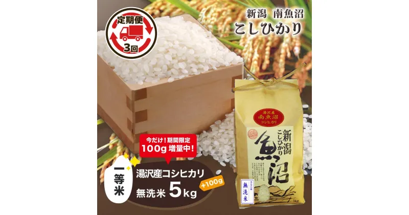 【ふるさと納税】 令和6年産 【無洗米5kg/3ヶ月定期便】湯沢産コシヒカリ＜無洗米＞ 南魚沼産 こしひかり 3回定期便 【期間限定 100g増量中！】