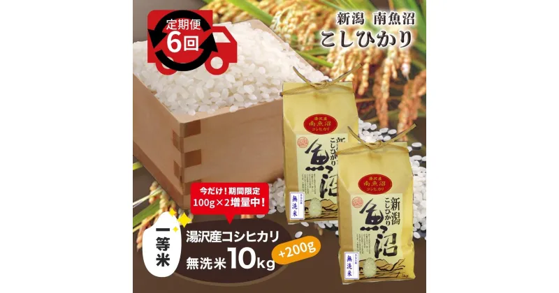 【ふるさと納税】令和6年産 【無洗米10kg（5kg×2袋）/6ヶ月定期便】湯沢産コシヒカリ＜無洗米＞【期間限定 100g増量中！】