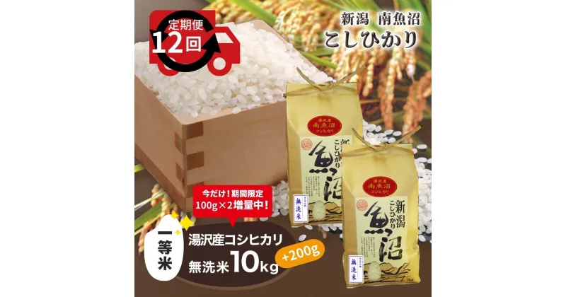 【ふるさと納税】令和6年産 【無洗米10kg（5kg×2袋）/12ヶ月定期便】湯沢産コシヒカリ＜無洗米＞ 【期間限定 200g増量中！】