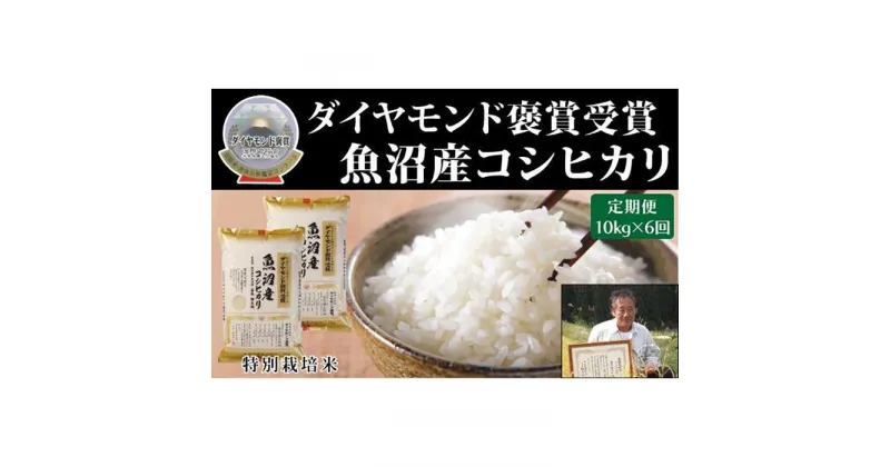 【ふるさと納税】【毎月定期便　6ヵ月】最高級魚沼産こしひかり　【ダイヤモンド褒賞受賞　特別栽培米】 10kg（5kg ×2）×全6回