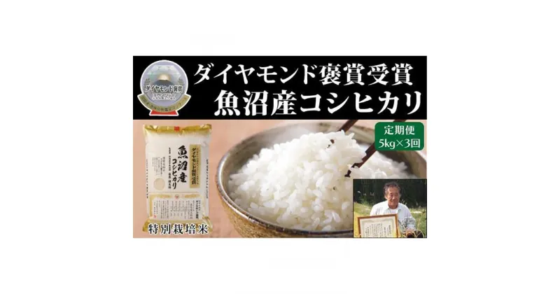 【ふるさと納税】【毎月定期便　3ヵ月】最高級魚沼産こしひかり【ダイヤモンド褒賞受賞　特別栽培米】 5kg（5kg ×1）×全3回