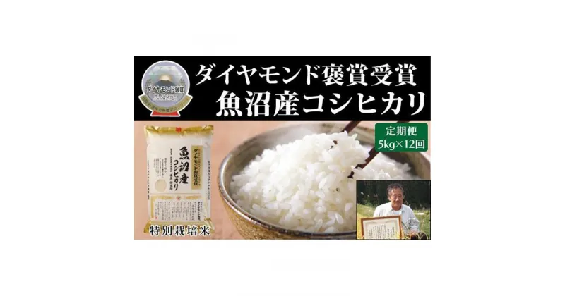 【ふるさと納税】【毎月定期便　12ヵ月】最高級魚沼産こしひかり【ダイヤモンド褒賞受賞　特別栽培米】　5kg（5kg ×1）×全12回