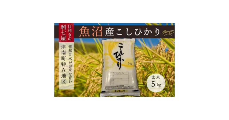 【ふるさと納税】【令和7年産 新米】【魚沼産コシヒカリ 玄米5kg×全3回】雪解け水がお米を育む、津南町特A地区の美味しいお米。【令和7年10月以降発送】