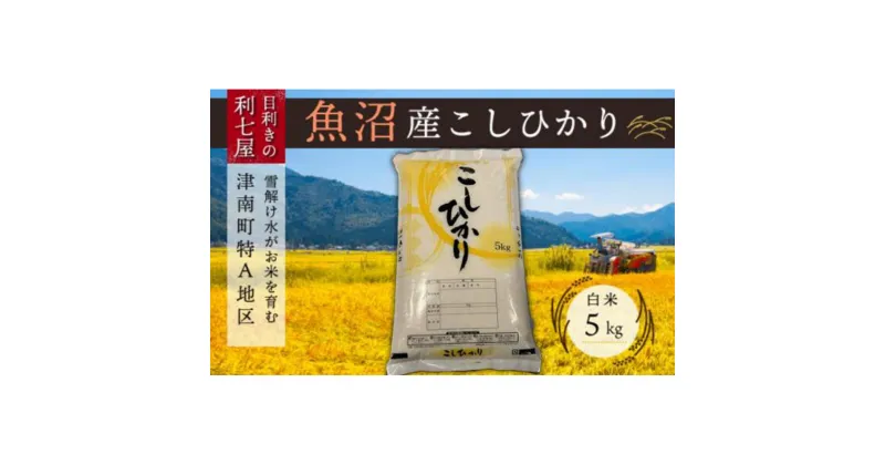 【ふるさと納税】【令和7年産 新米】【魚沼産コシヒカリ 白米5kg×全3回】雪解け水がお米を育む、津南町特A地区の美味しいお米。【令和7年10月以降発送】