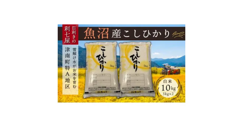 【ふるさと納税】【令和7年産 新米】【魚沼産コシヒカリ 白米10kg（5kg×2袋）×全3回】雪解け水がお米を育む、津南町特A地区の美味しいお米。【令和7年10月以降発送】