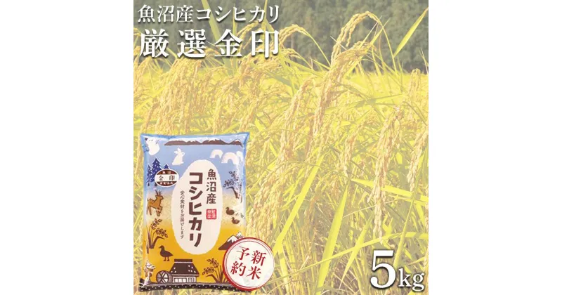 【ふるさと納税】＜令和6年産新米予約＞魚沼産コシヒカリ「金印」高食味米 5kg