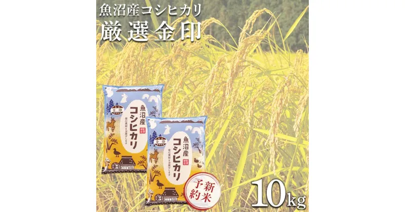 【ふるさと納税】＜令和6年産新米予約＞魚沼産コシヒカリ「金印」高食味米 10kg