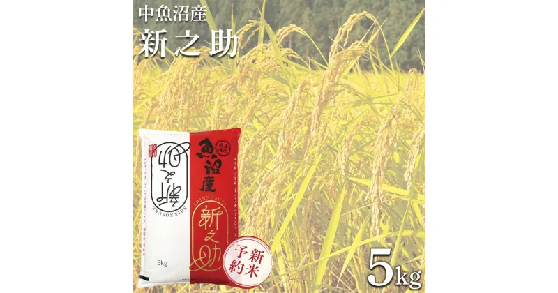 【ふるさと納税】＜令和6年産新米予約＞中魚沼産「新之助(しんのすけ)」5kg | お米 こめ 白米 食品 人気 おすすめ 送料無料